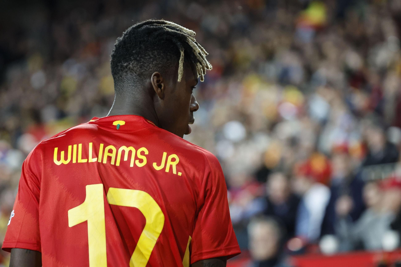 Las mejores fotos del España - Países Bajos