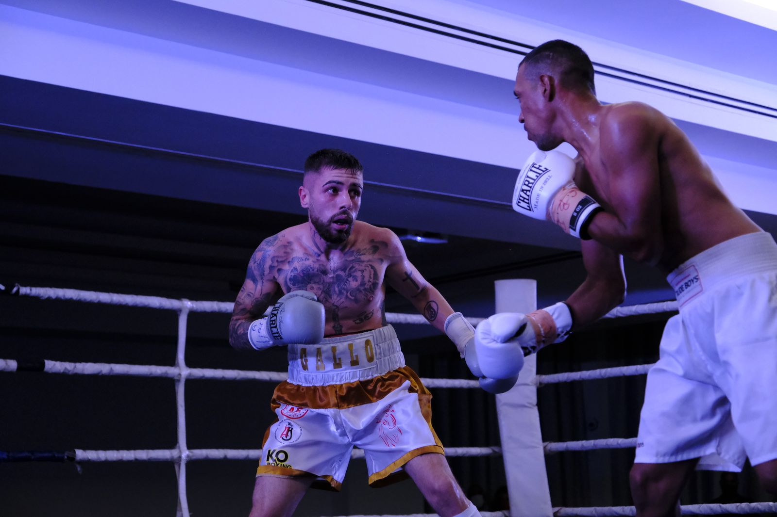 Fotogalería de la velada de boxeo Diamonds Boxing