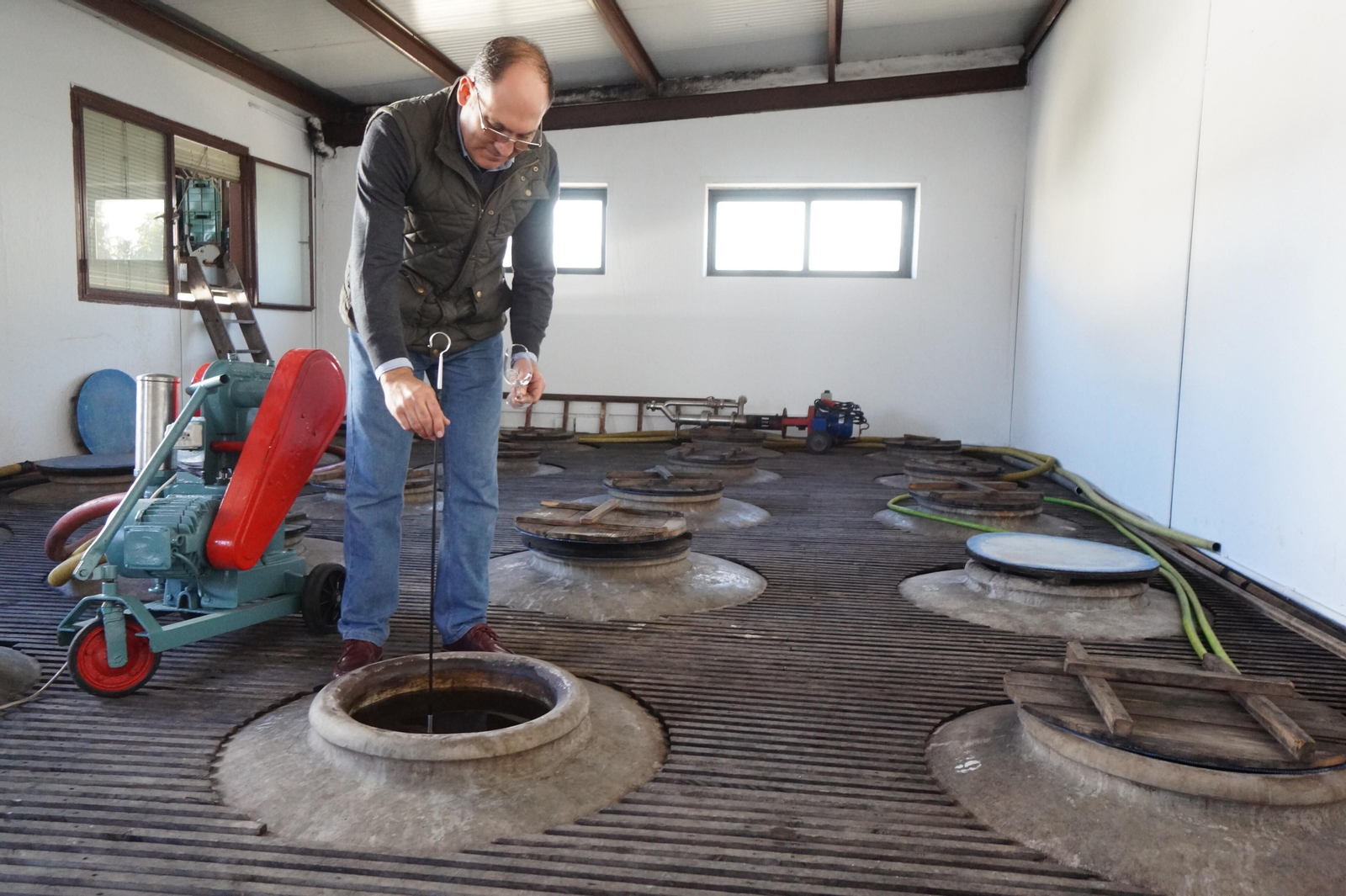 Un recorrido en fotografías por el vino nuevo de Moriles