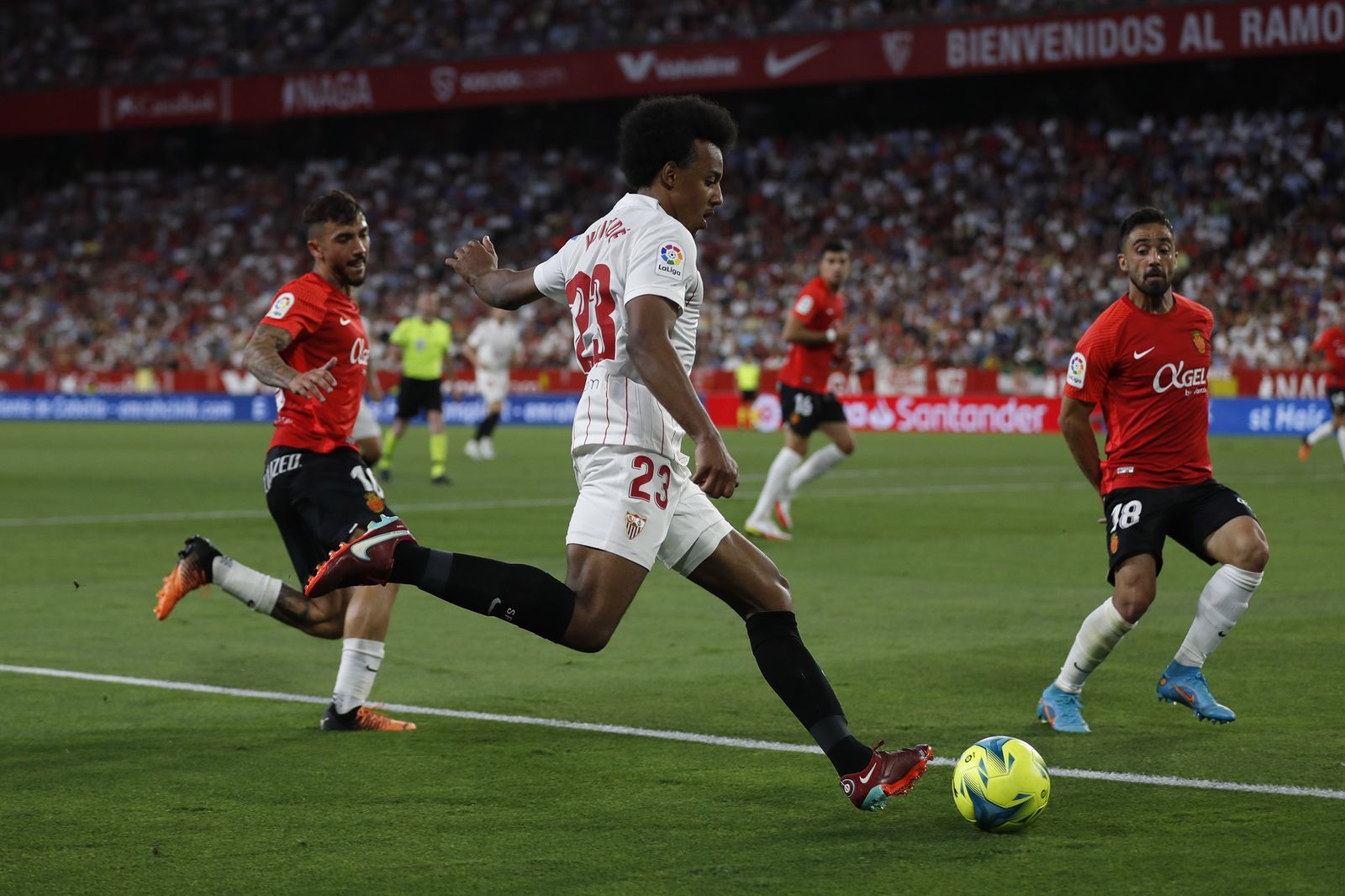 Las imágenes del Sevilla-Mallorca