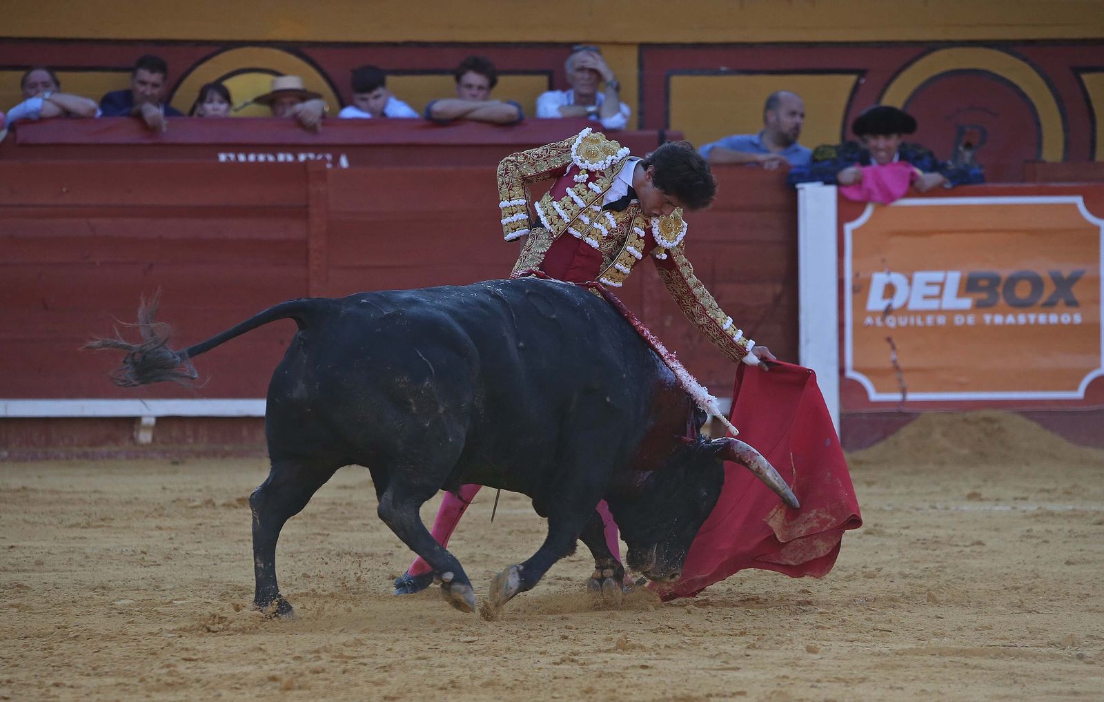 Fotos de la corrida del jueves de la Feria Taurina de Algeciras 2023:  Salvador Vega, Roca Rey y Pablo Aguado