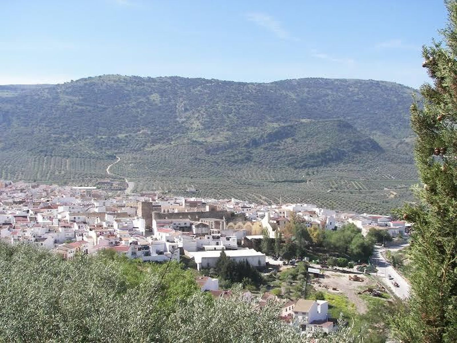 Panorámica de Doña Mencía.
