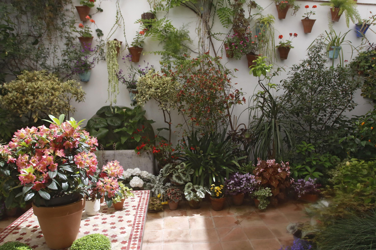 Alvar Rodríguez, 8.