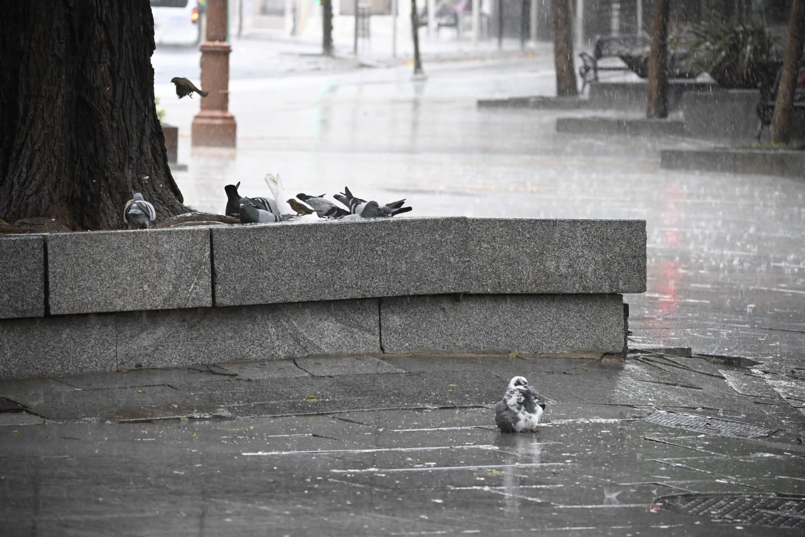 Imágenes del paso de la DANA por Huelva en la mañana del viernes
