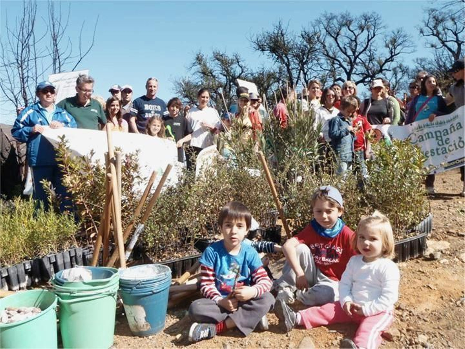 En una jornada de reforestación de Pinsapo.