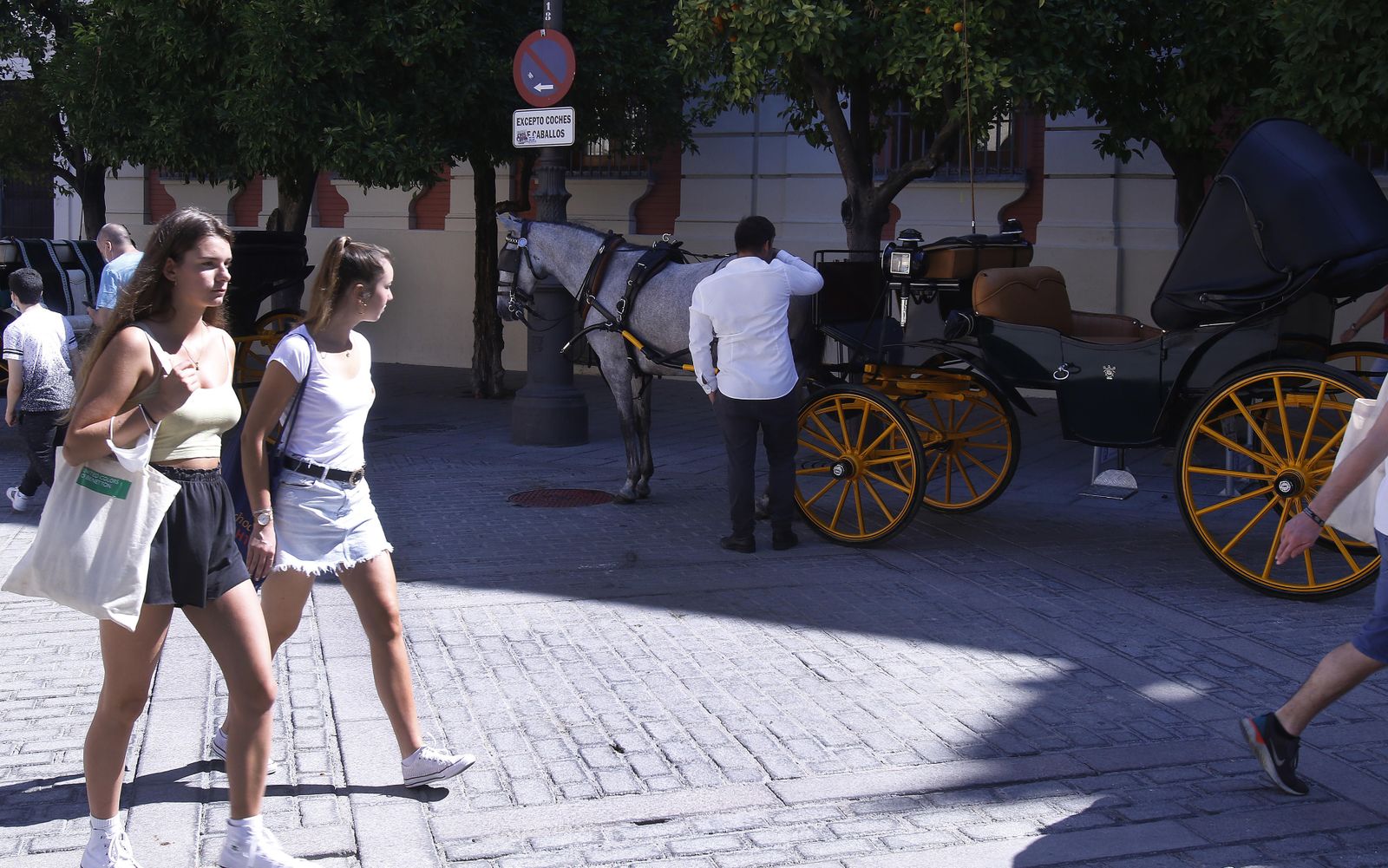 Dos jóvenes pasan ante una de las paradas de coches de caballos en el centro de Sevilla.