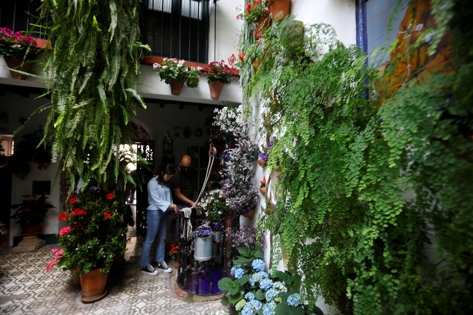Los patios de Córdoba de la ruta Judería-San Francisco, en imágenes