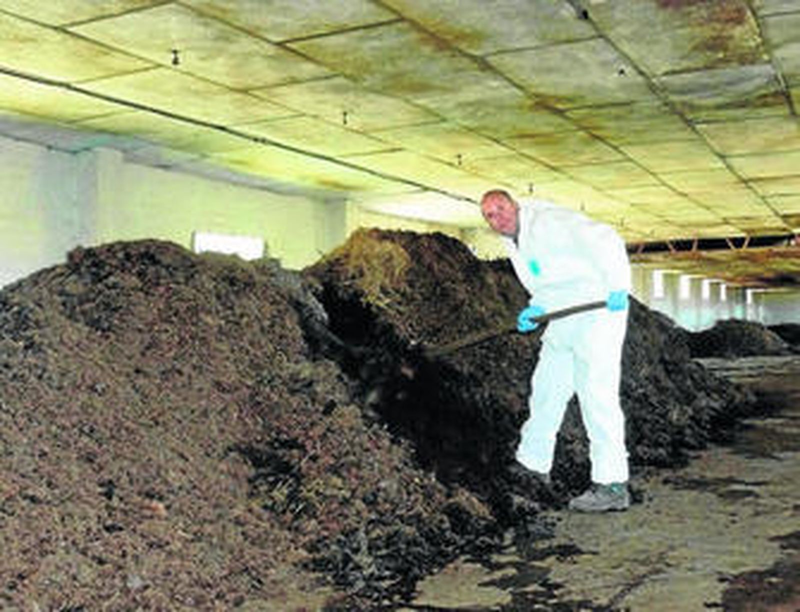 La lombriz, nueva savia agrícola