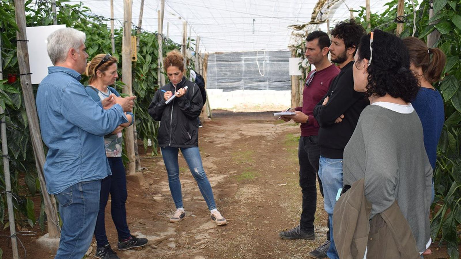 Jorge Bervel explicando las caracteristicas del pimiento Menes F1