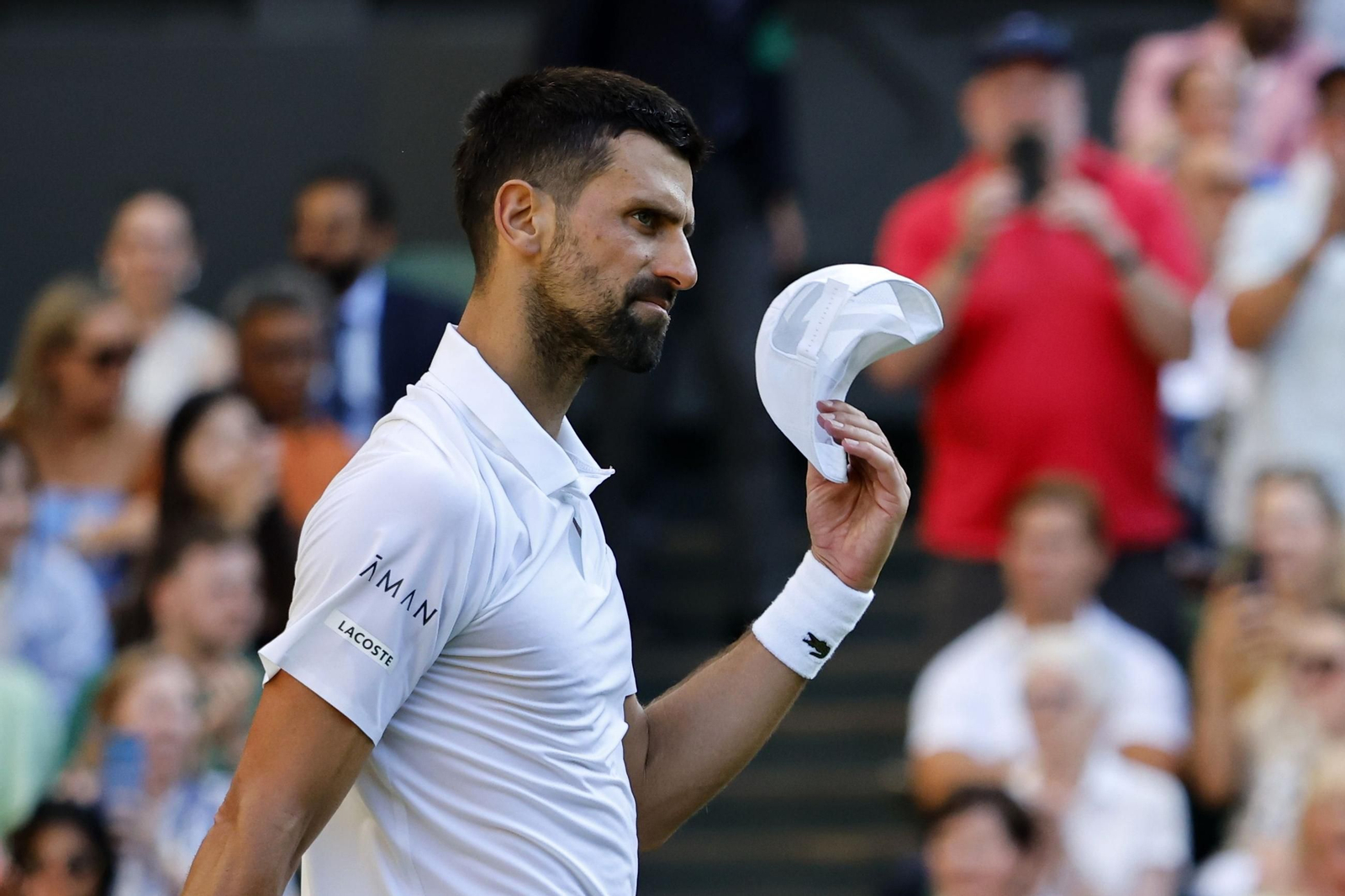 Las fotos de Wimbledon con las clasificaciones de Djokovic y Sinner