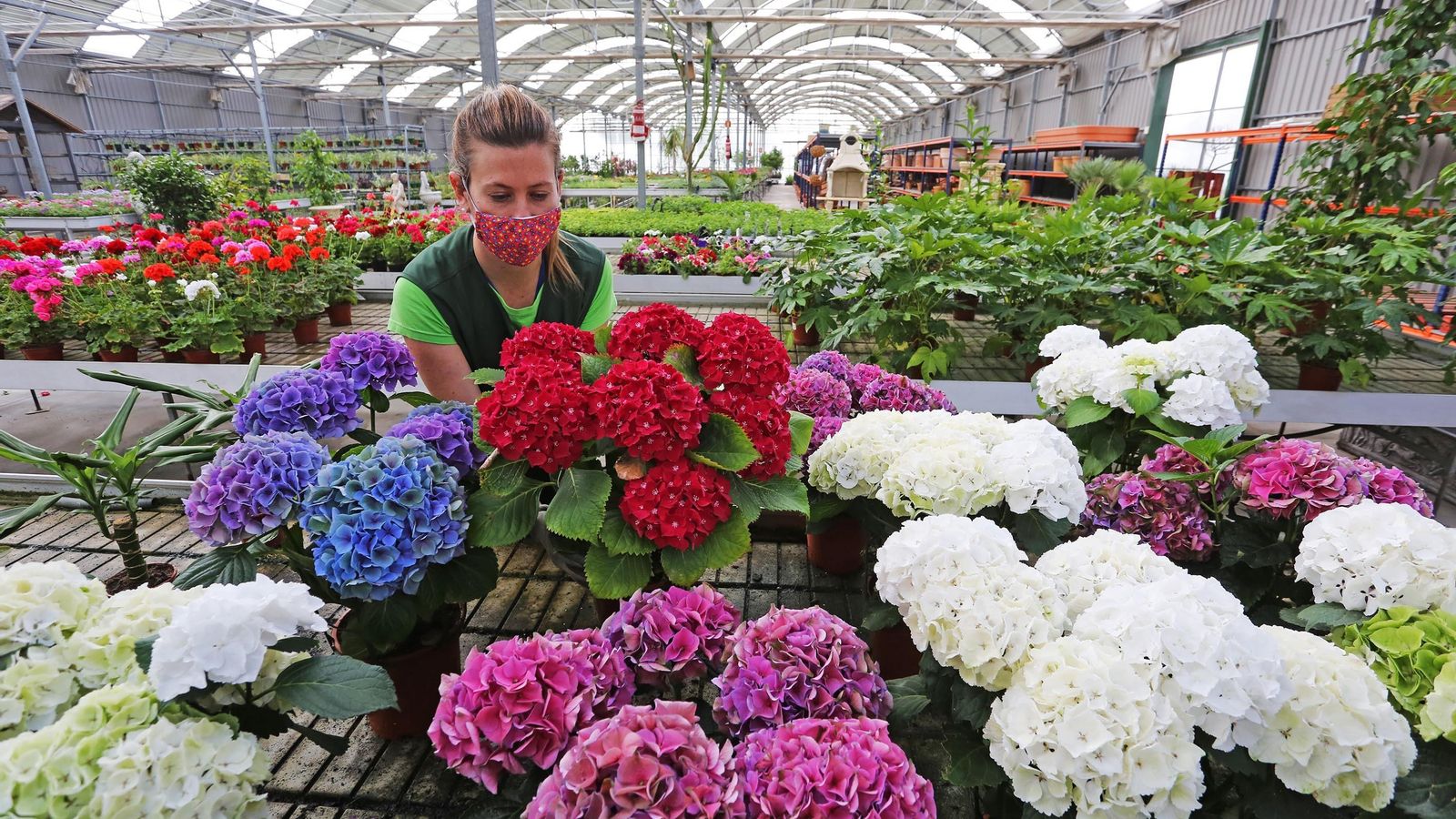 Una mujer en Viveros Hermosín.