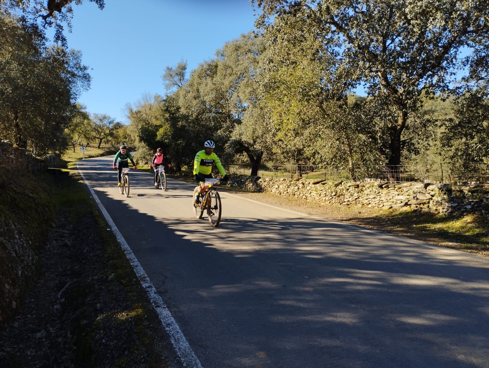 Una ruta cicloturista por Huelva.