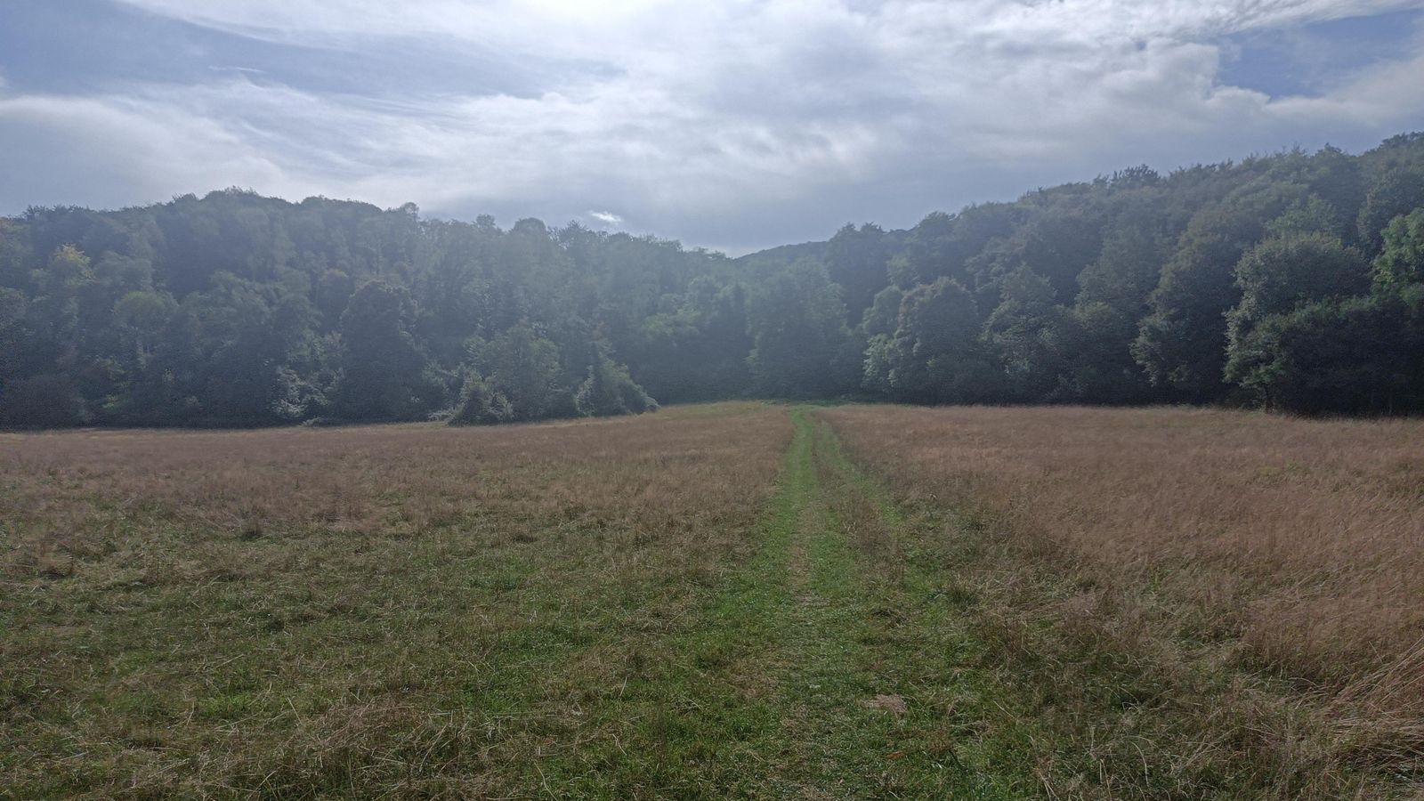 La pradera de Gès, a medio camino de la primera subida.