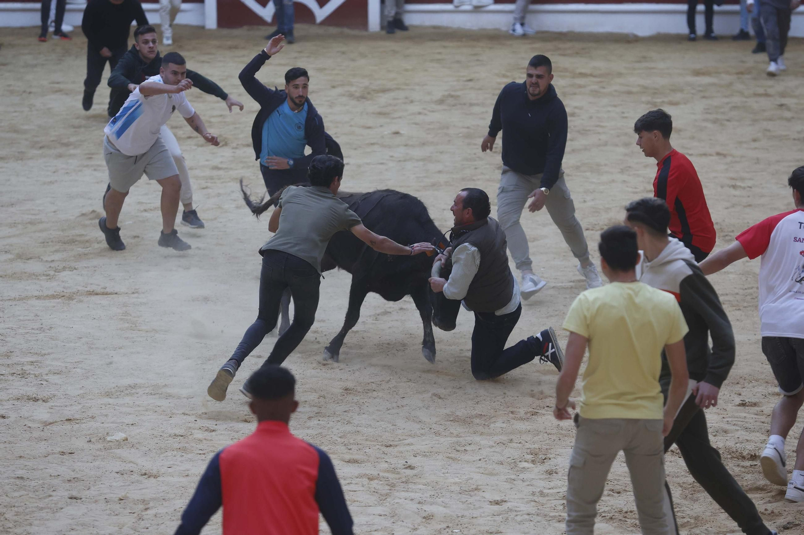 Fotos de los encierros del sábado del Toro Embolao en Los Barrios