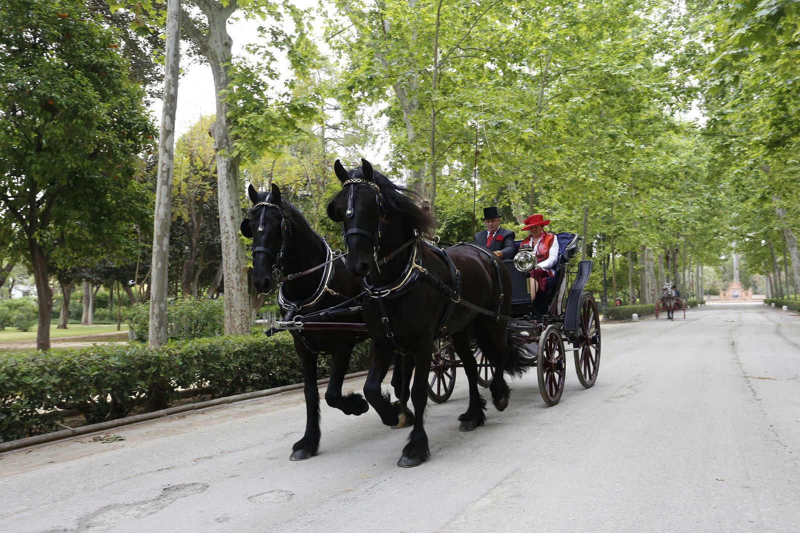 El concurso de enganches, en imágenes