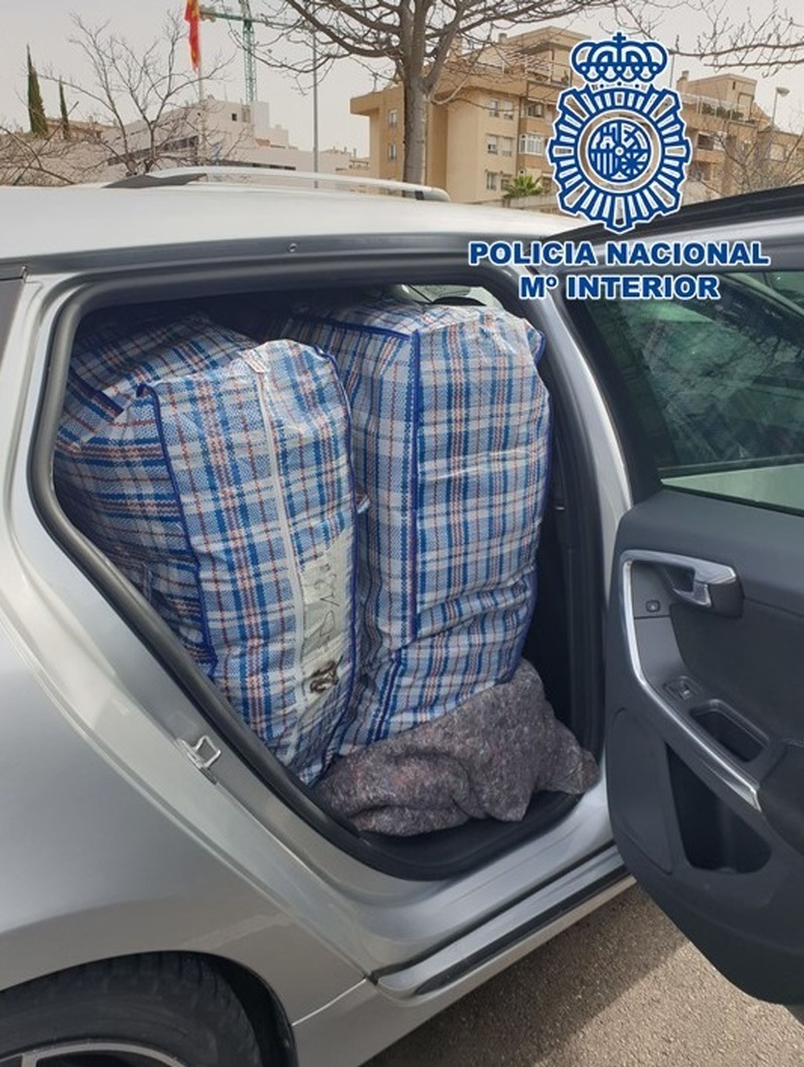 Imagen que presentaba el vehículo.