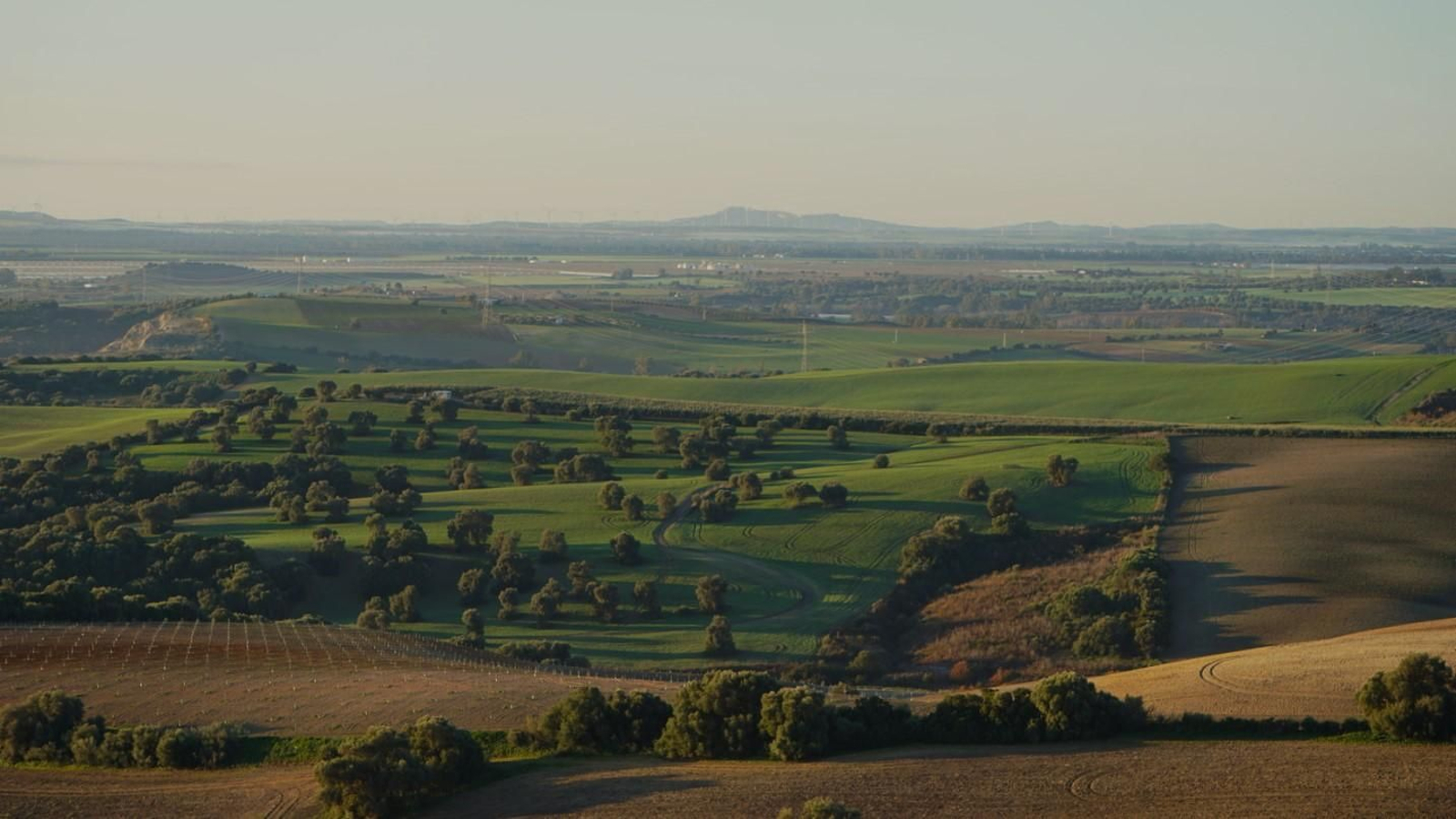 Vistas desde el vuelo en globo en Arcos