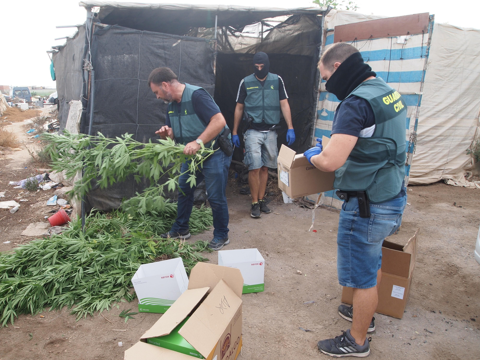 Desmantelando la otra huerta de Europa