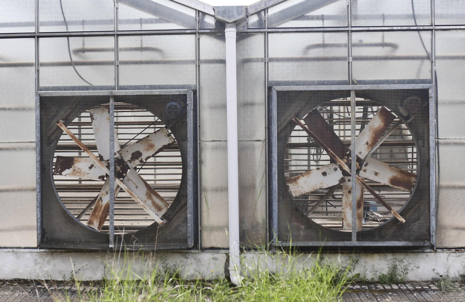 Celebración del 50º Aniversario de ETSIAM