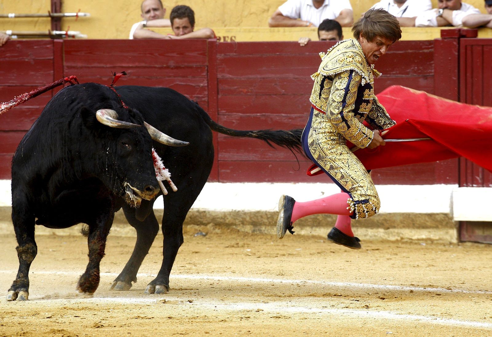 En plena faena en uno de los festejos de 2012