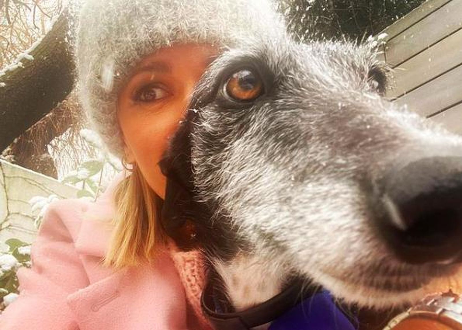 Susanna Griso pide ayuda en redes sociales por su galga Kali