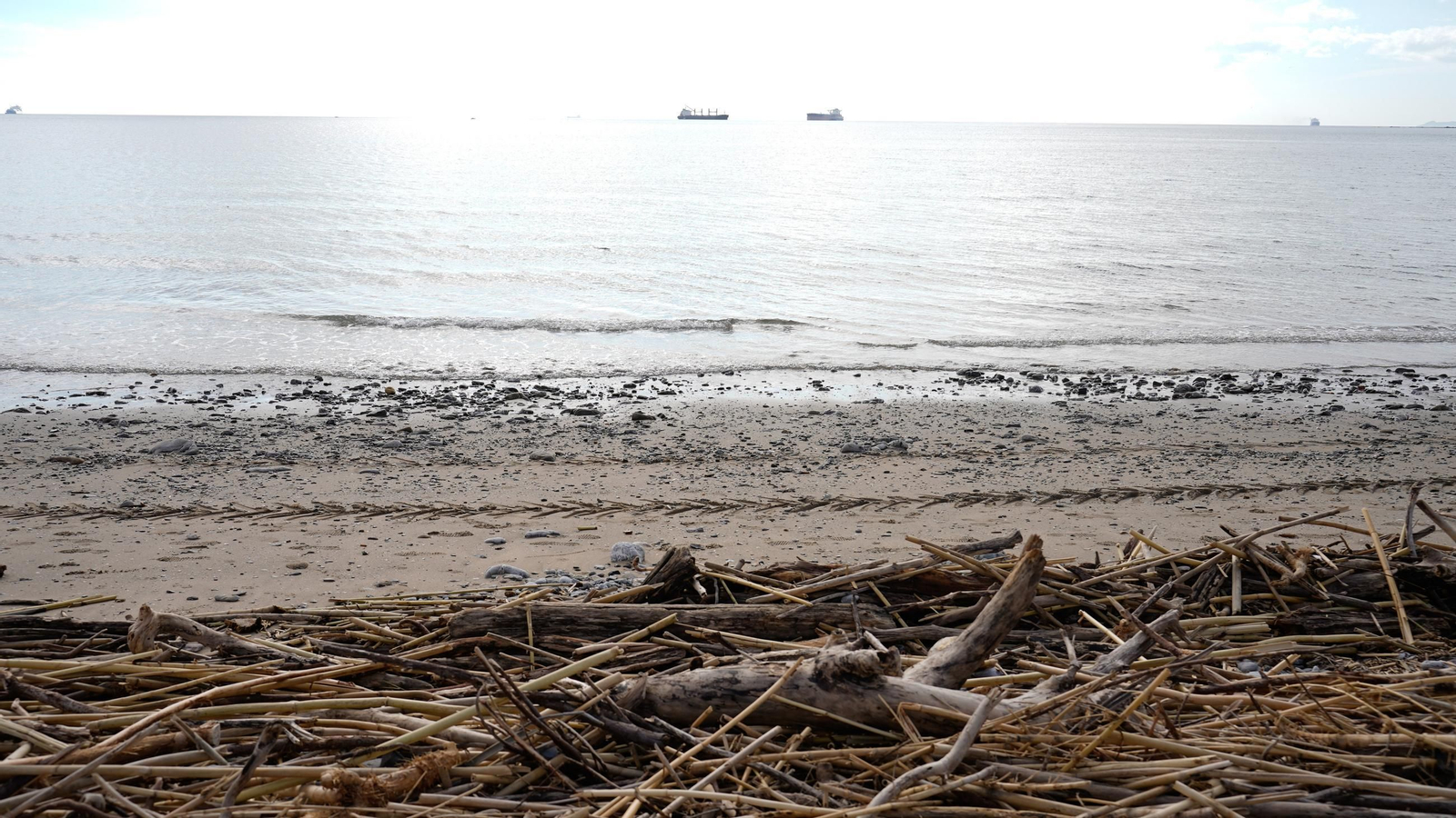 Fotos de la playa de Getares llena de cañas y desechos