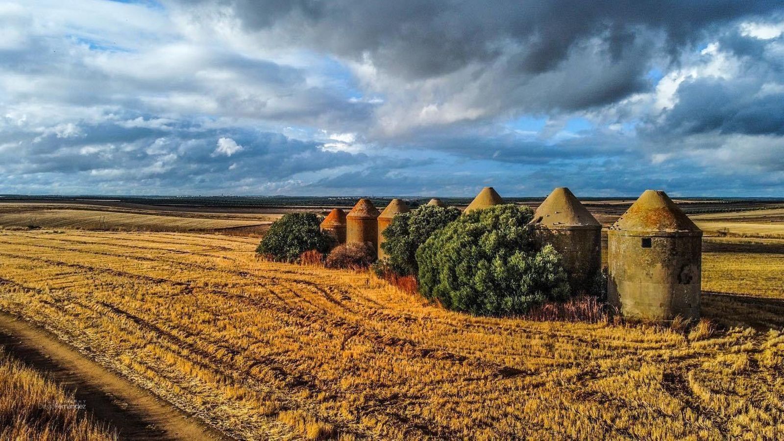 Silos del Cortijo de San Benito. Silos del Cortijo de San Benito.