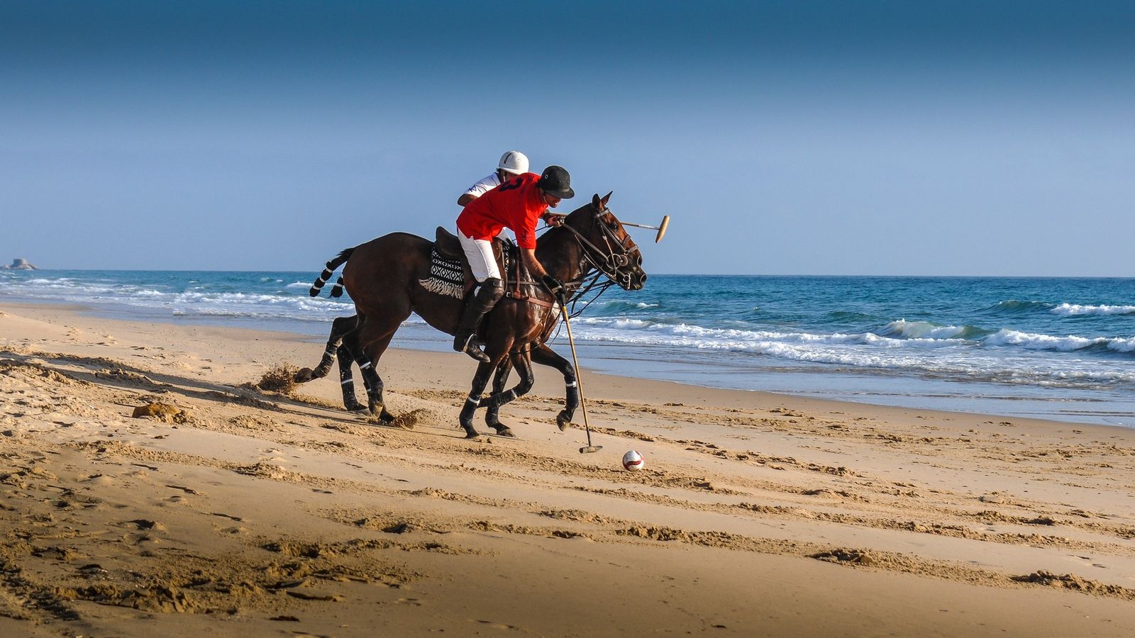 Torneo de Polo Arena
