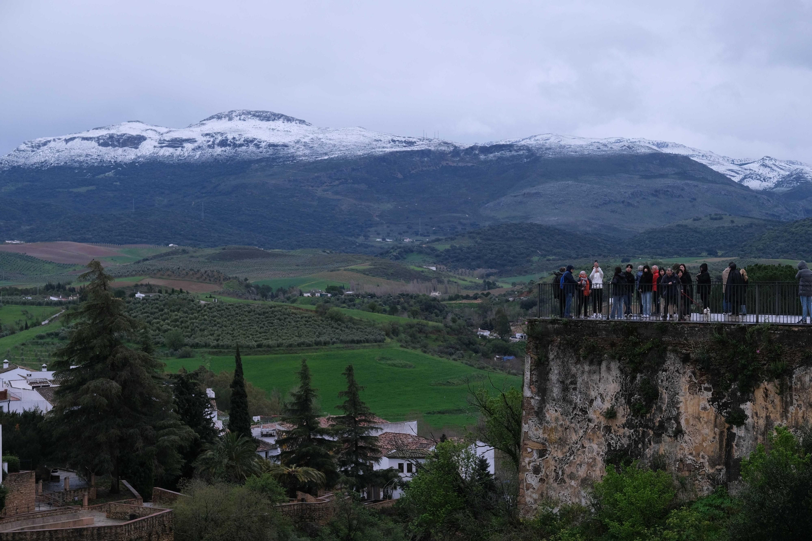 La nueva nevada  en el Parque Nacional Sierra de las Nieves, en fotos