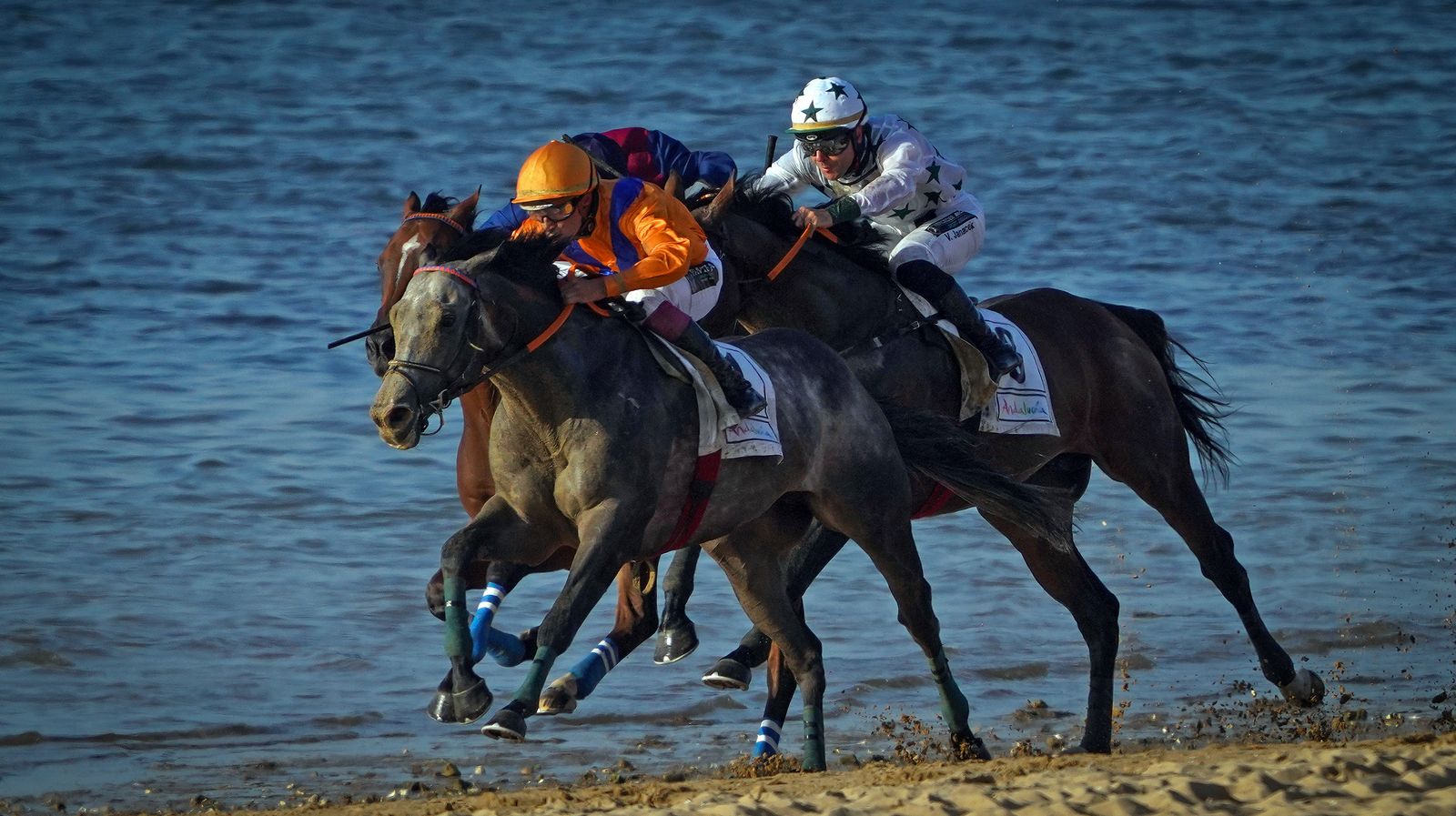 Gran ambiente en las carreras de caballos de Sanlúcar