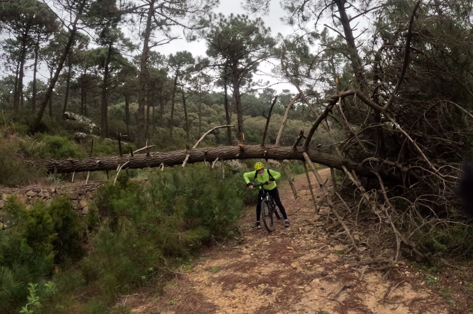 El carril de Las Corzas, destrozado tras los temporales