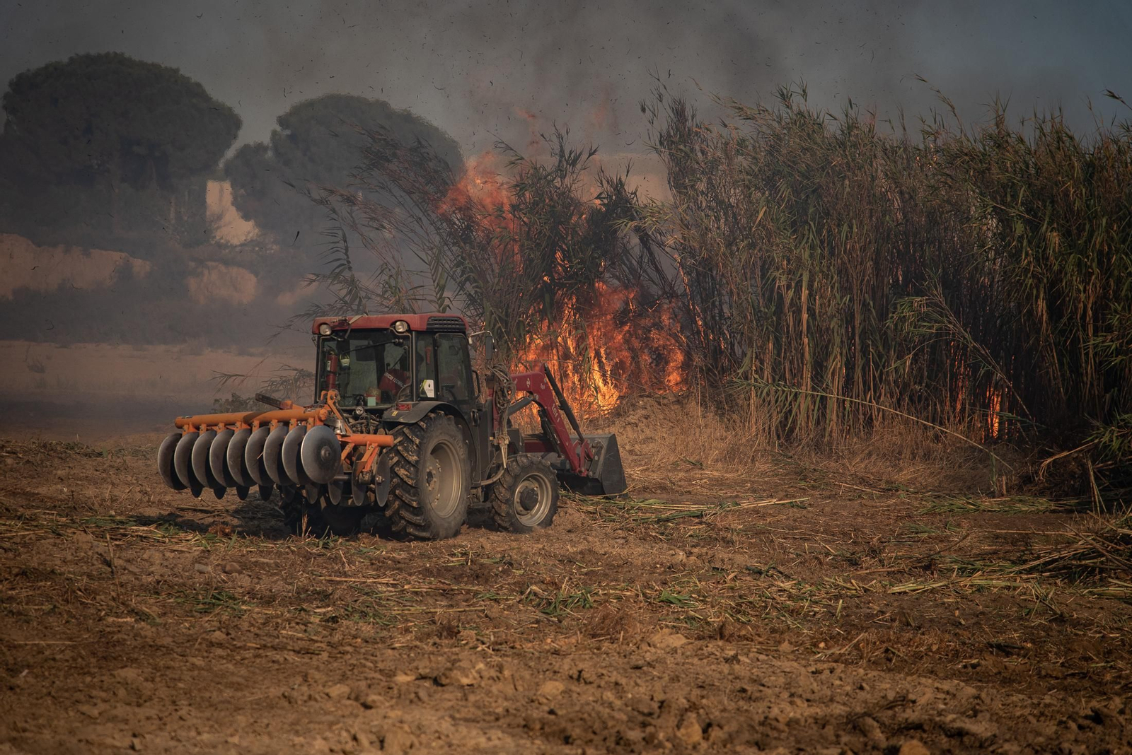 El incendio de Lucena del Puerto en imágenes