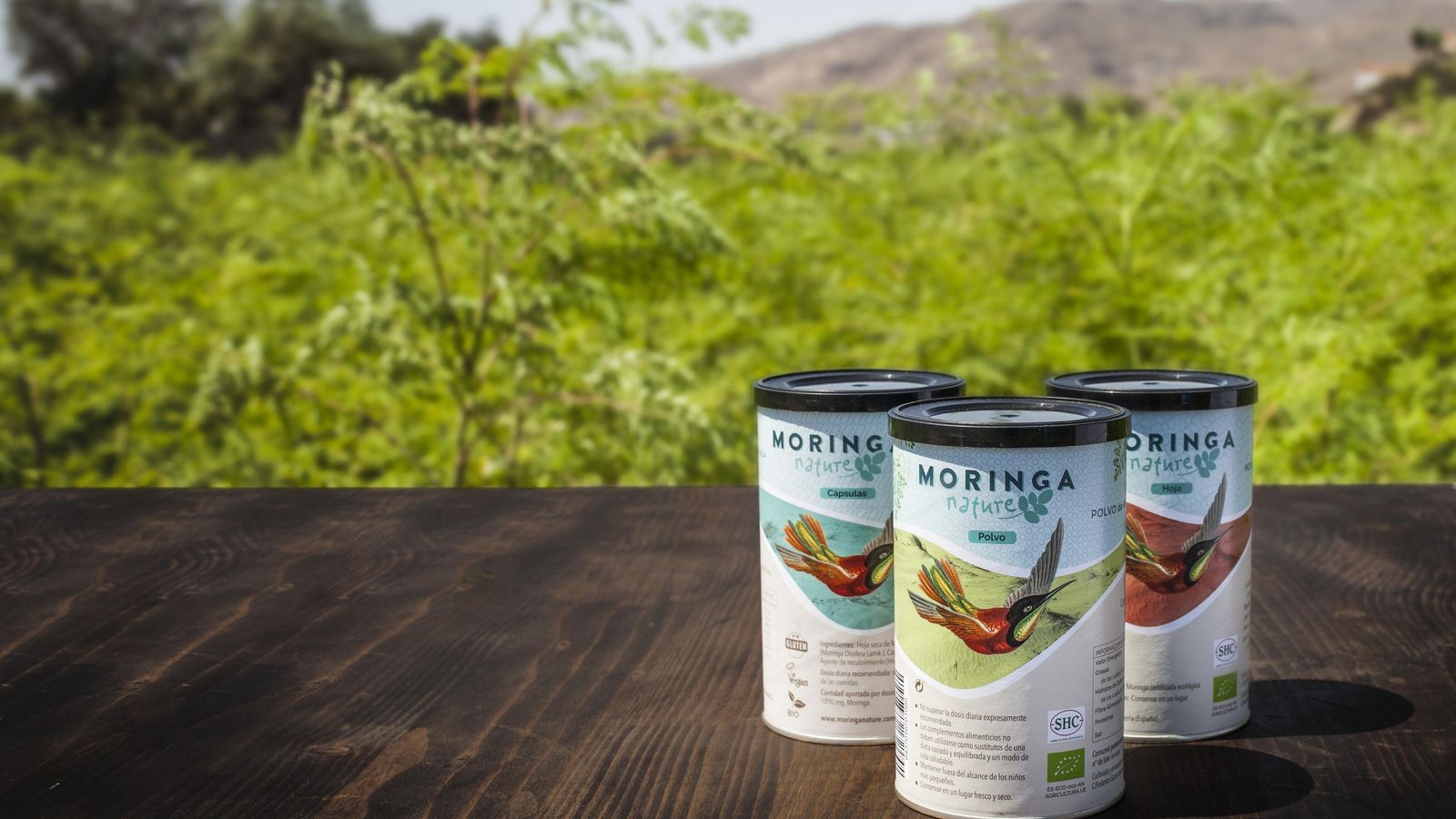 Cápsulas, polvo y hoja de Moringa Nature.