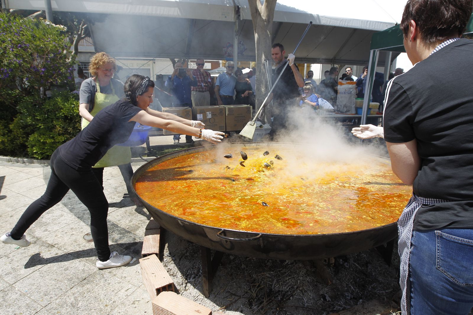 Fotogalería Fiestas de Canjáyar