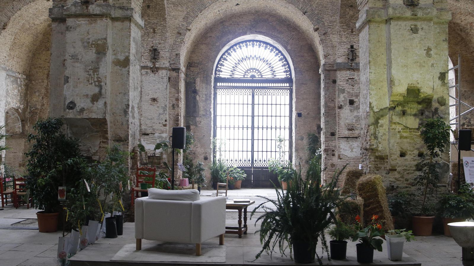 Vegetación, luz y arquitectura imponente, un lugar mágico