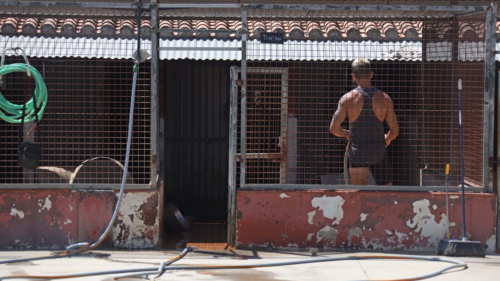 SOS Perrera Los Barrios