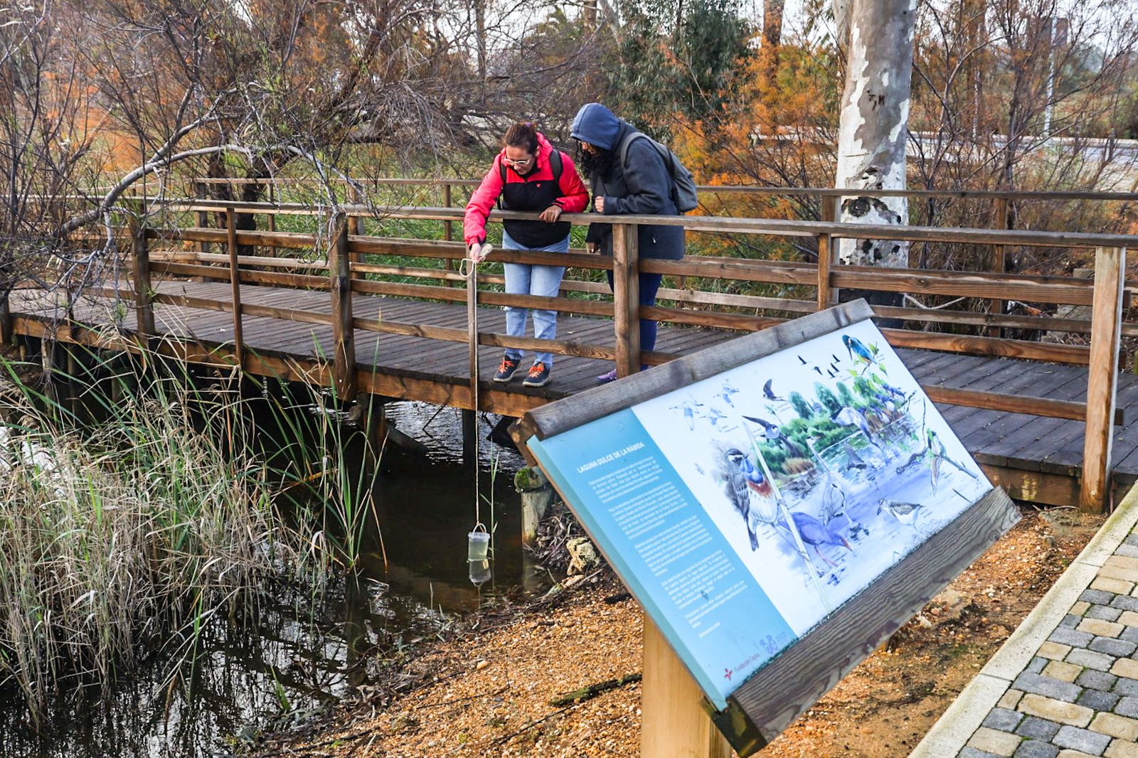 Fotografías de la celebración del Día Mundial de los Humedales