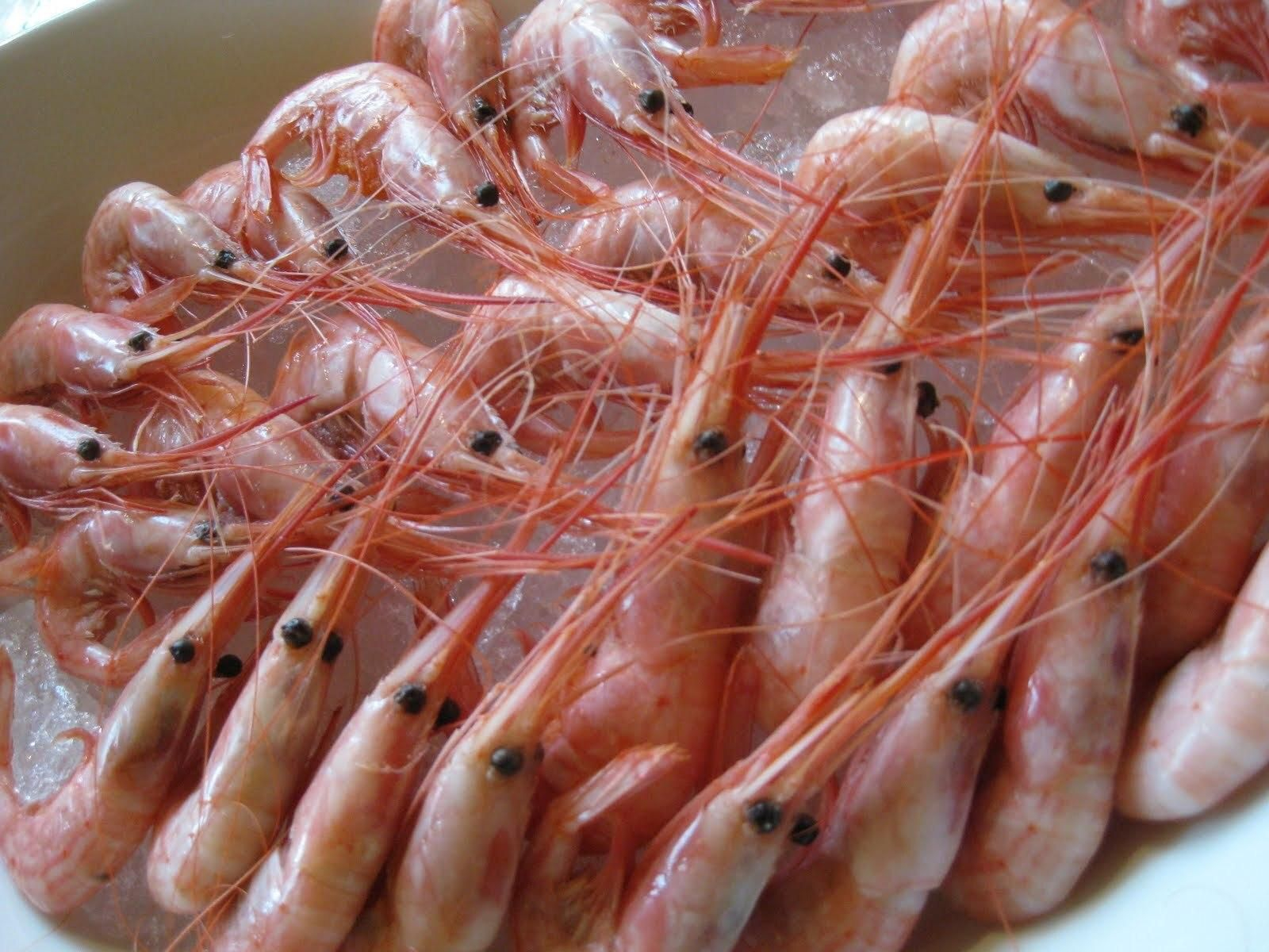 Quisquillas de Motril