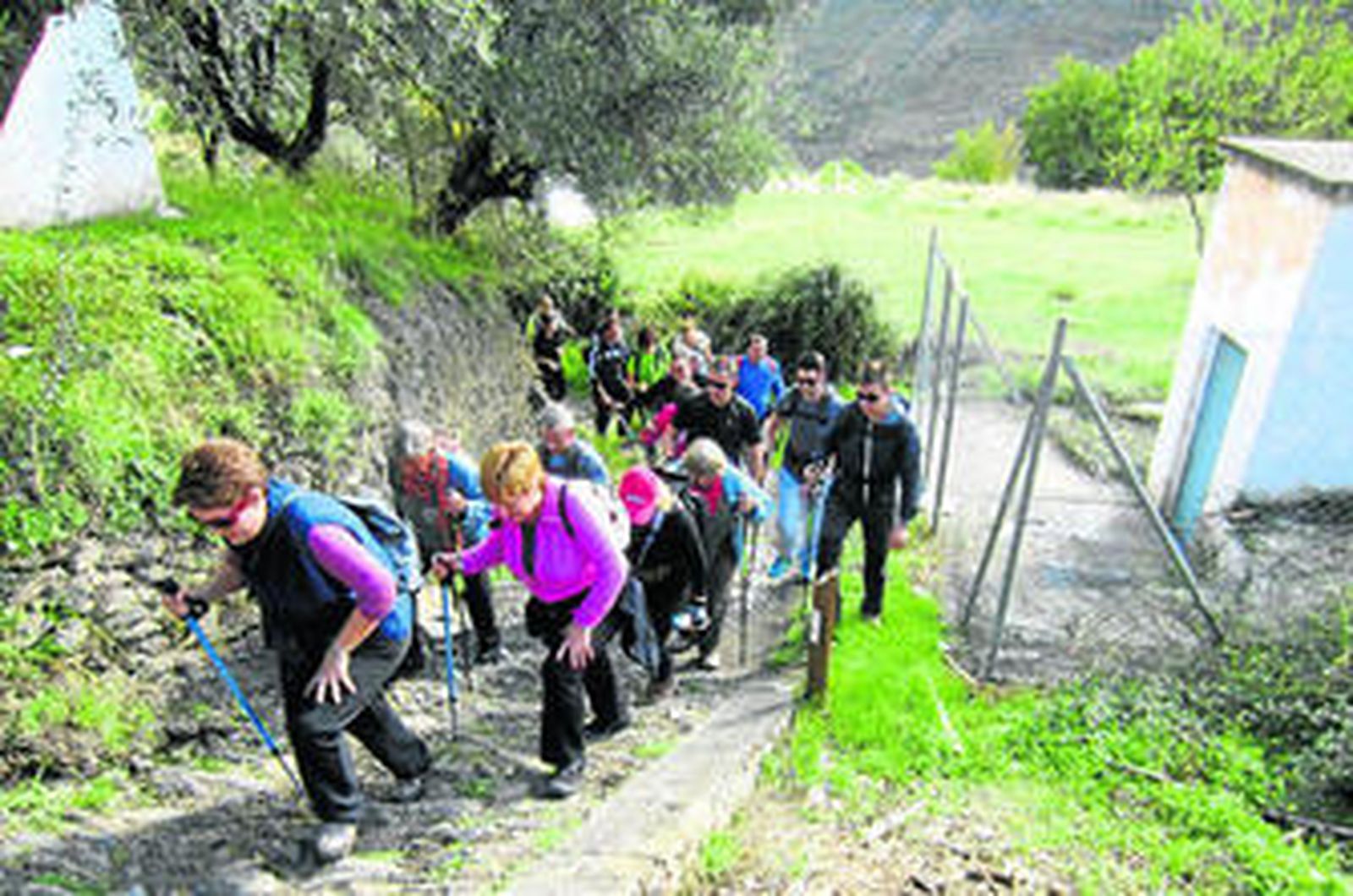 Algunos de los senderos tienen subidas más costosas.