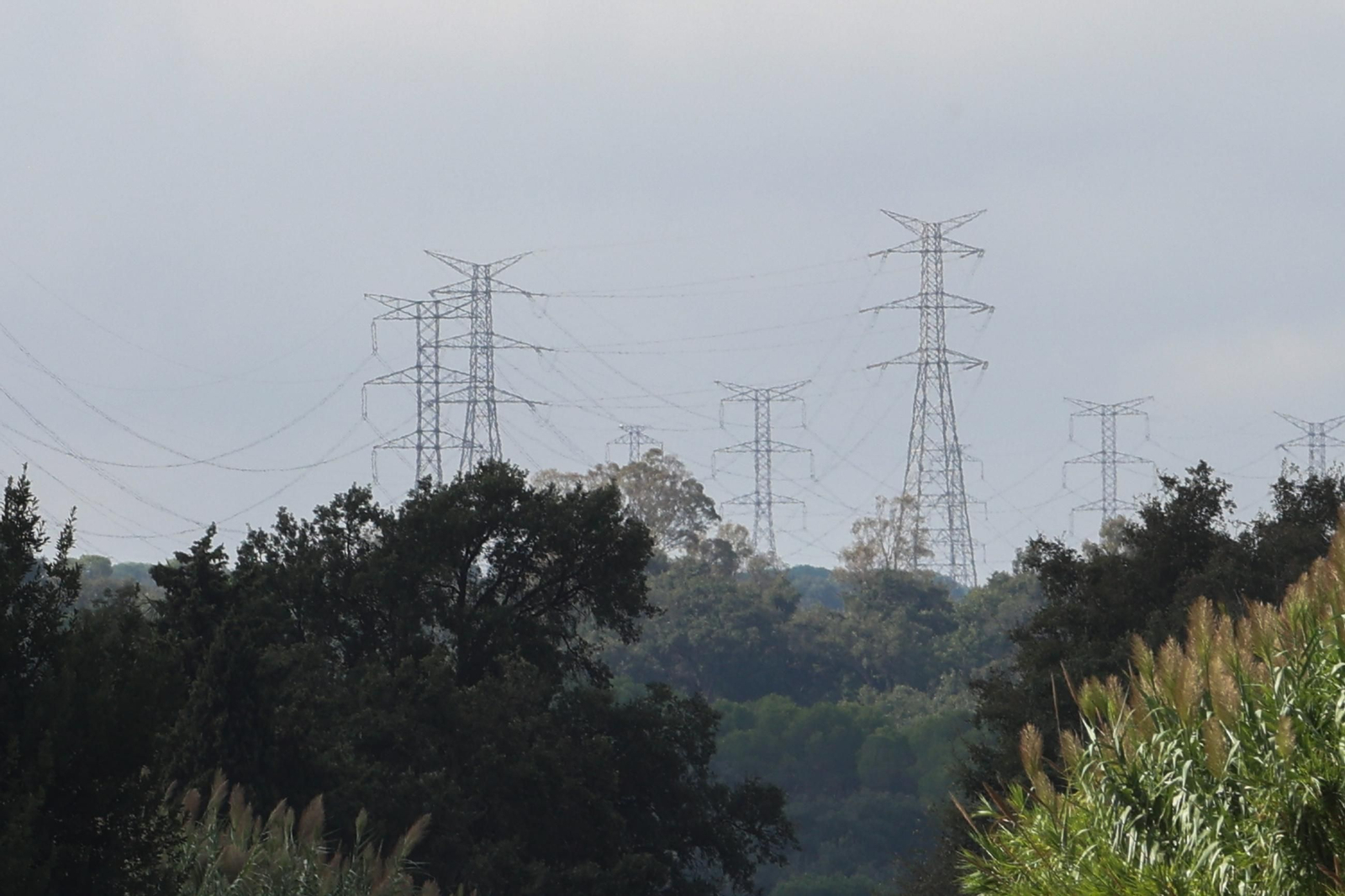 Varias torretas con tendidos eléctricos en el entorno del Pinar del Rey, en San Roque.