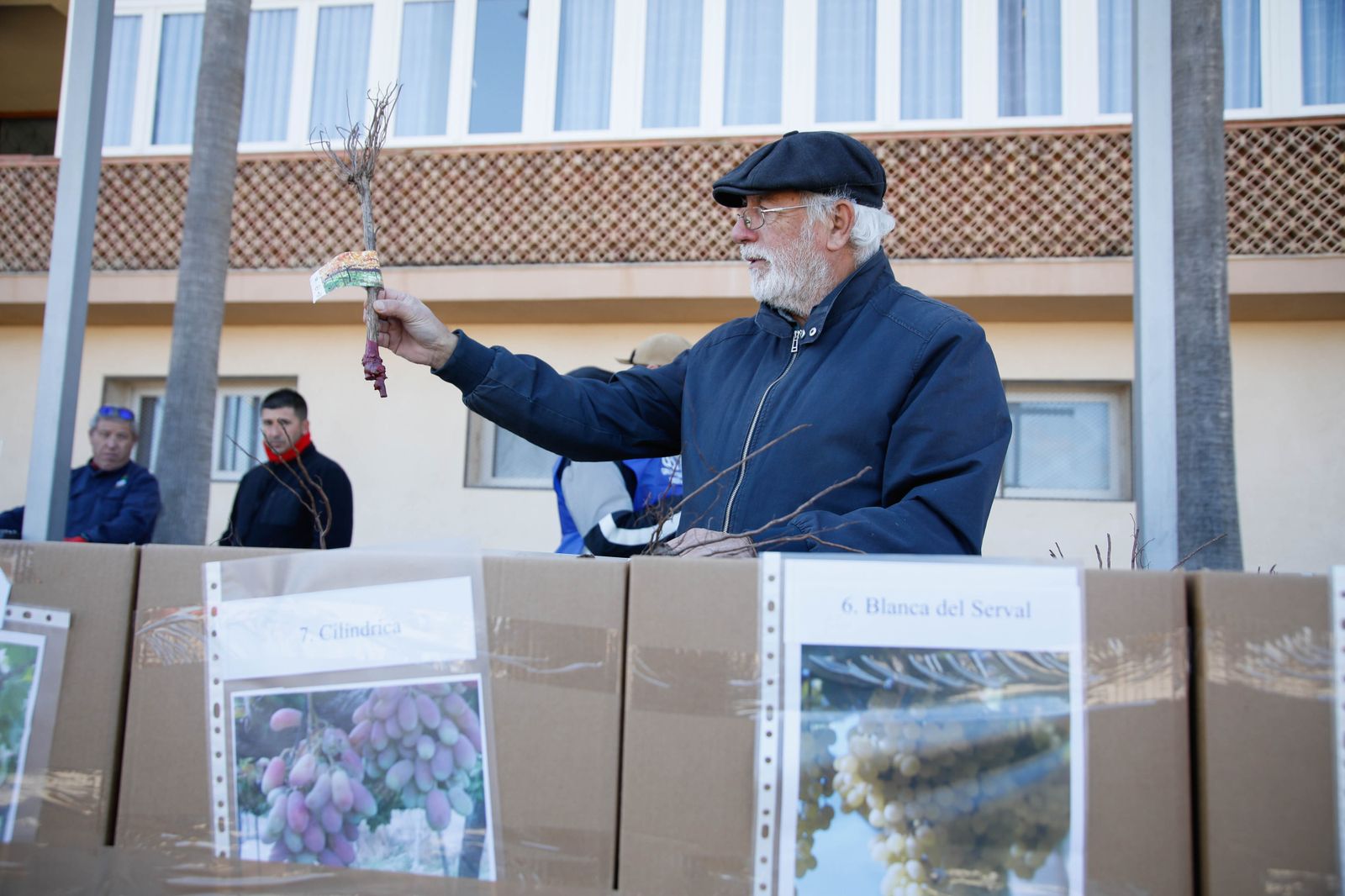 Imágenes del reparto de Parras en Alhama de Almería