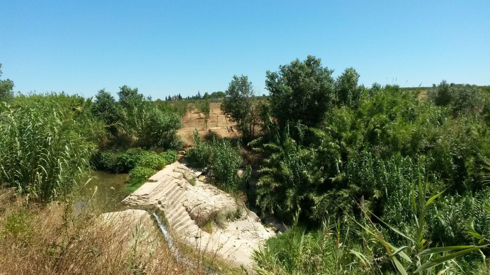 El cauce del Riopudio recuperado y rodeado de vegetación.