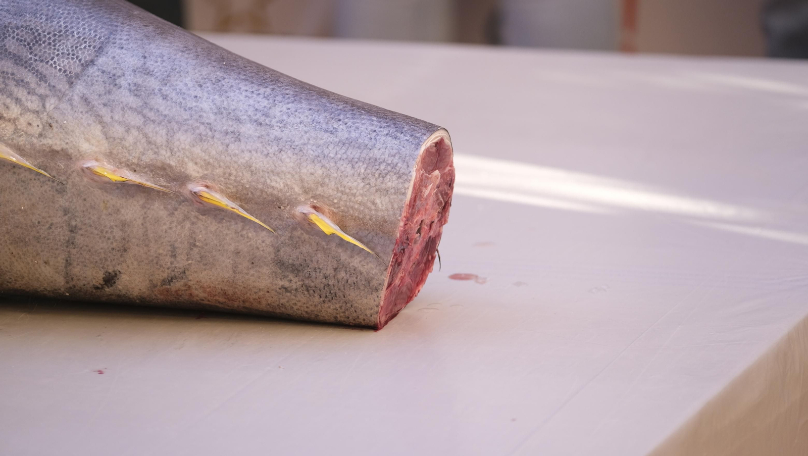 Jornadas del ronqueo del atún de almadraba en el Espacio Gastronómico Tony García, en Almería