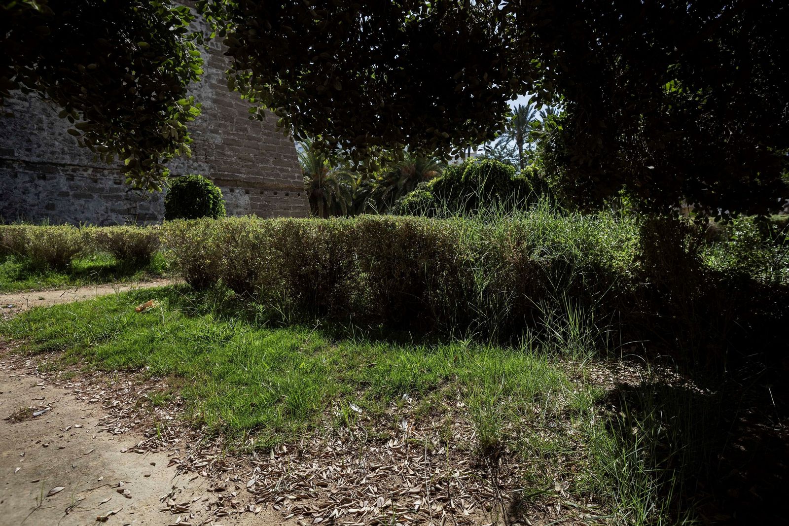 El estado de los jardines de la muralla de Cádiz
