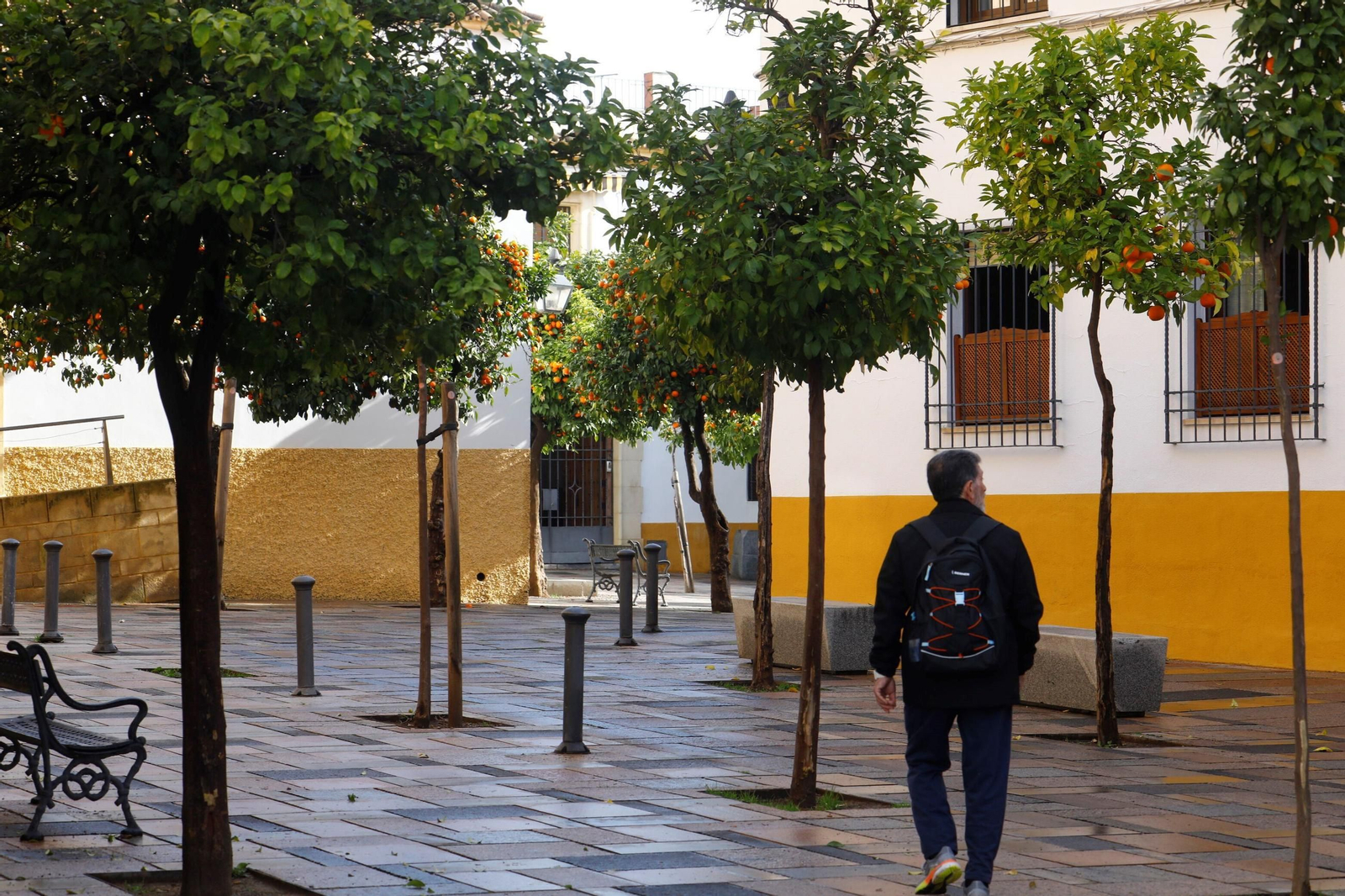 Un paseo en imágenes por el barrio de Santa Marina en pleno invierno
