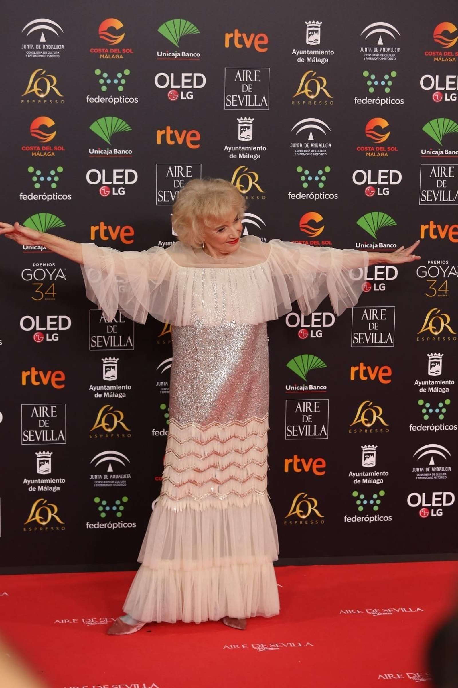 La alfombra roja de los Goya 2020 en Málaga