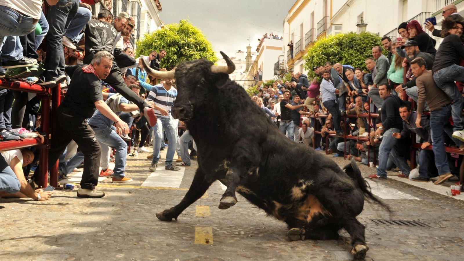 Una de las sueltas de los toros de Resurrección, en Arcos.