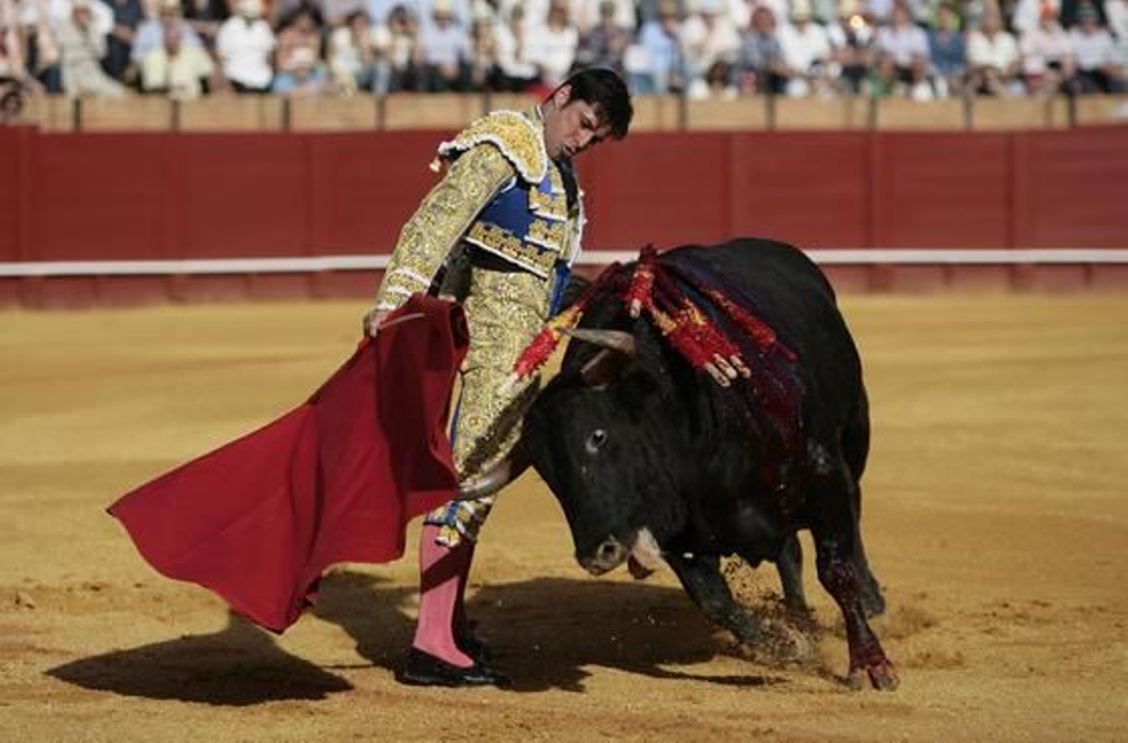 Foto: Juan Carlos Muñoz