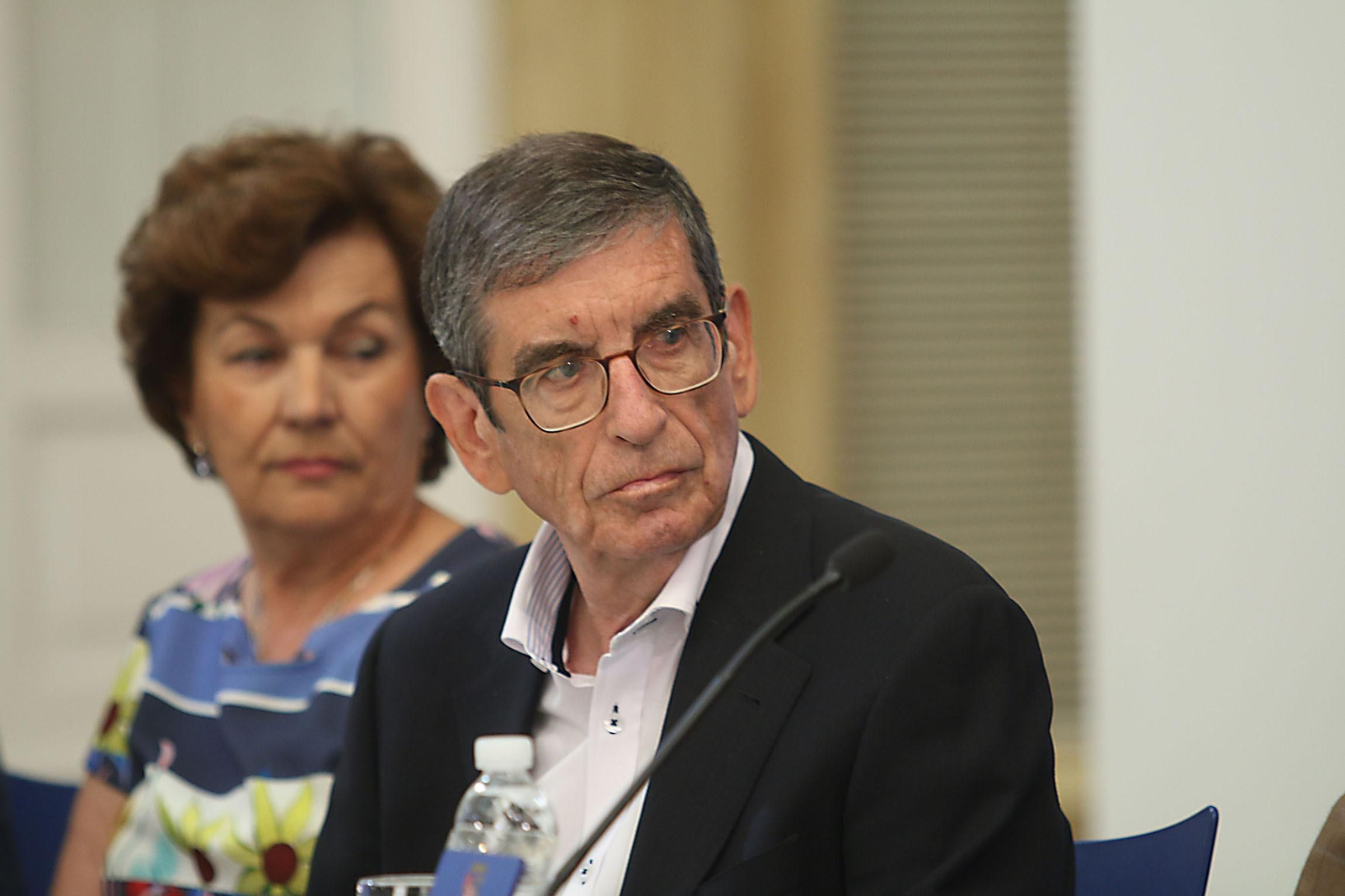 Fotogalería homenaje al pintor Julio Visconti