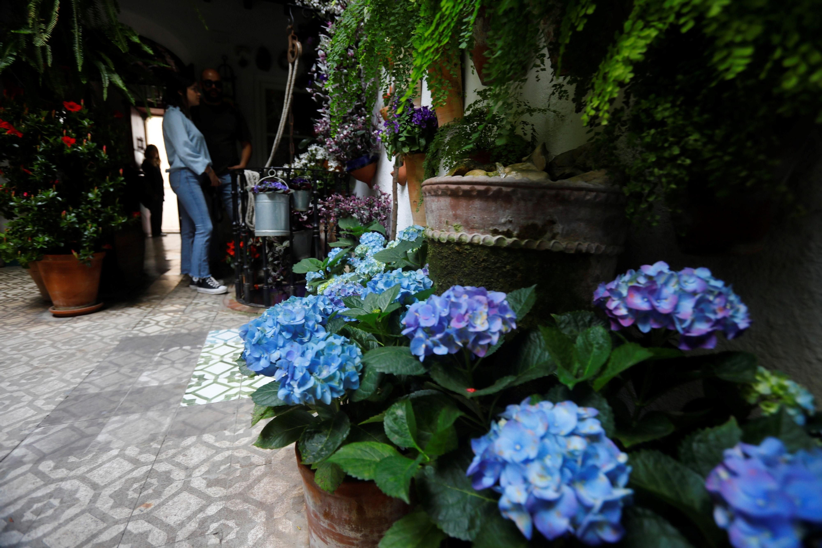 Los patios de Córdoba de la ruta Judería-San Francisco, en imágenes